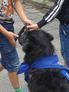 Hertha-2